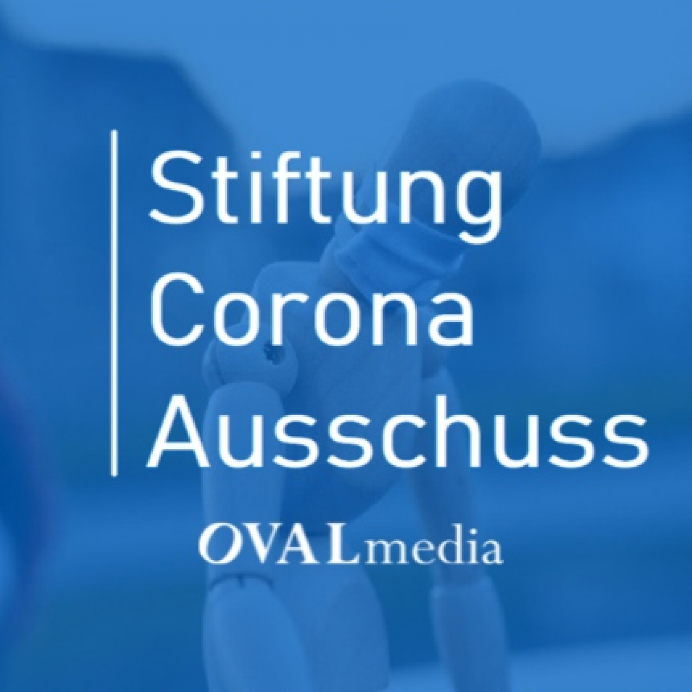 Anhörungen | Stiftung Corona-Ausschuss