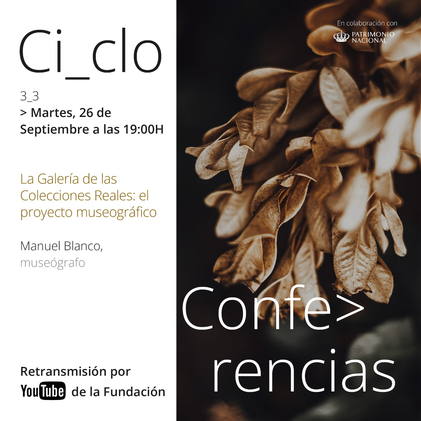 Conferencias