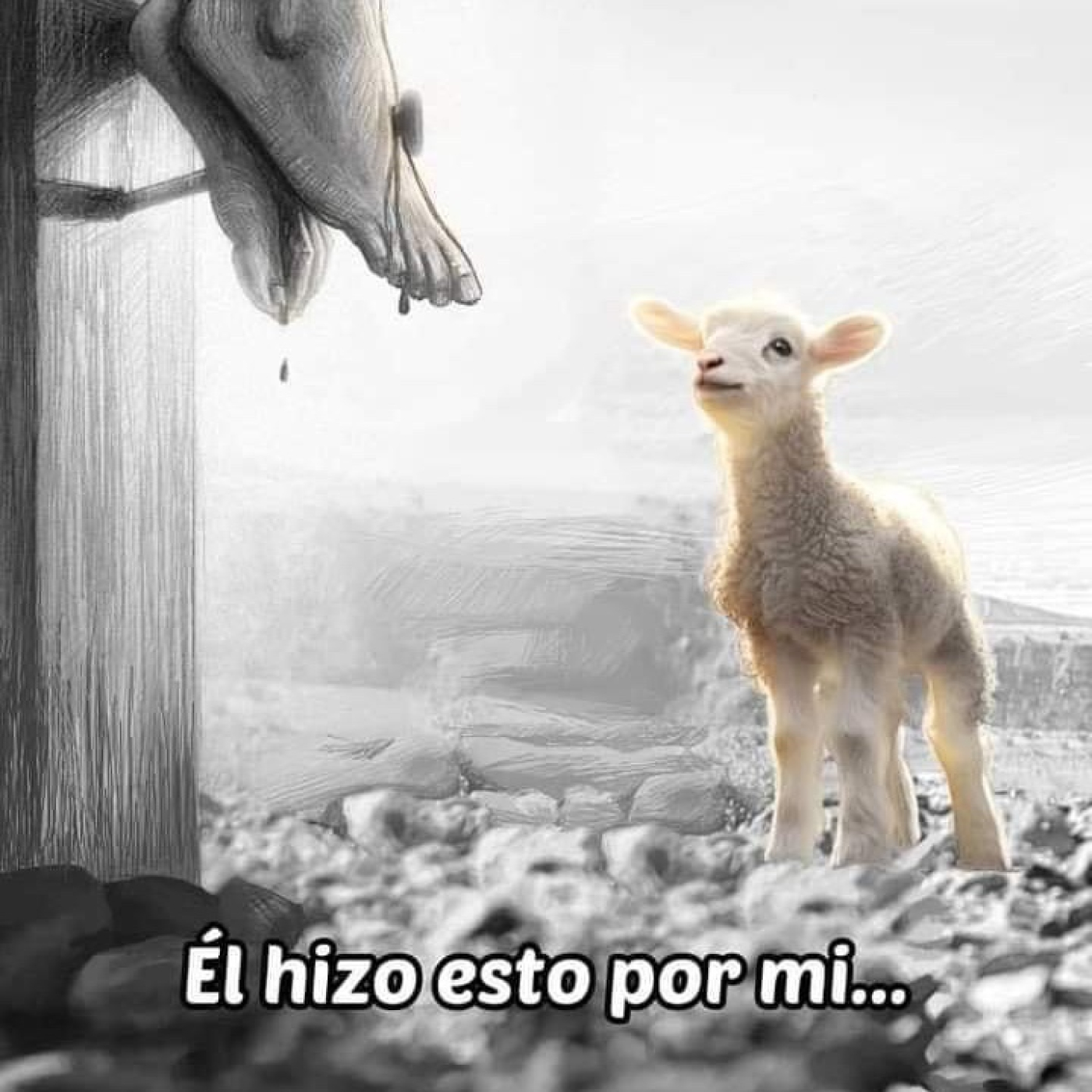 El Servicio en el Reino de Dios