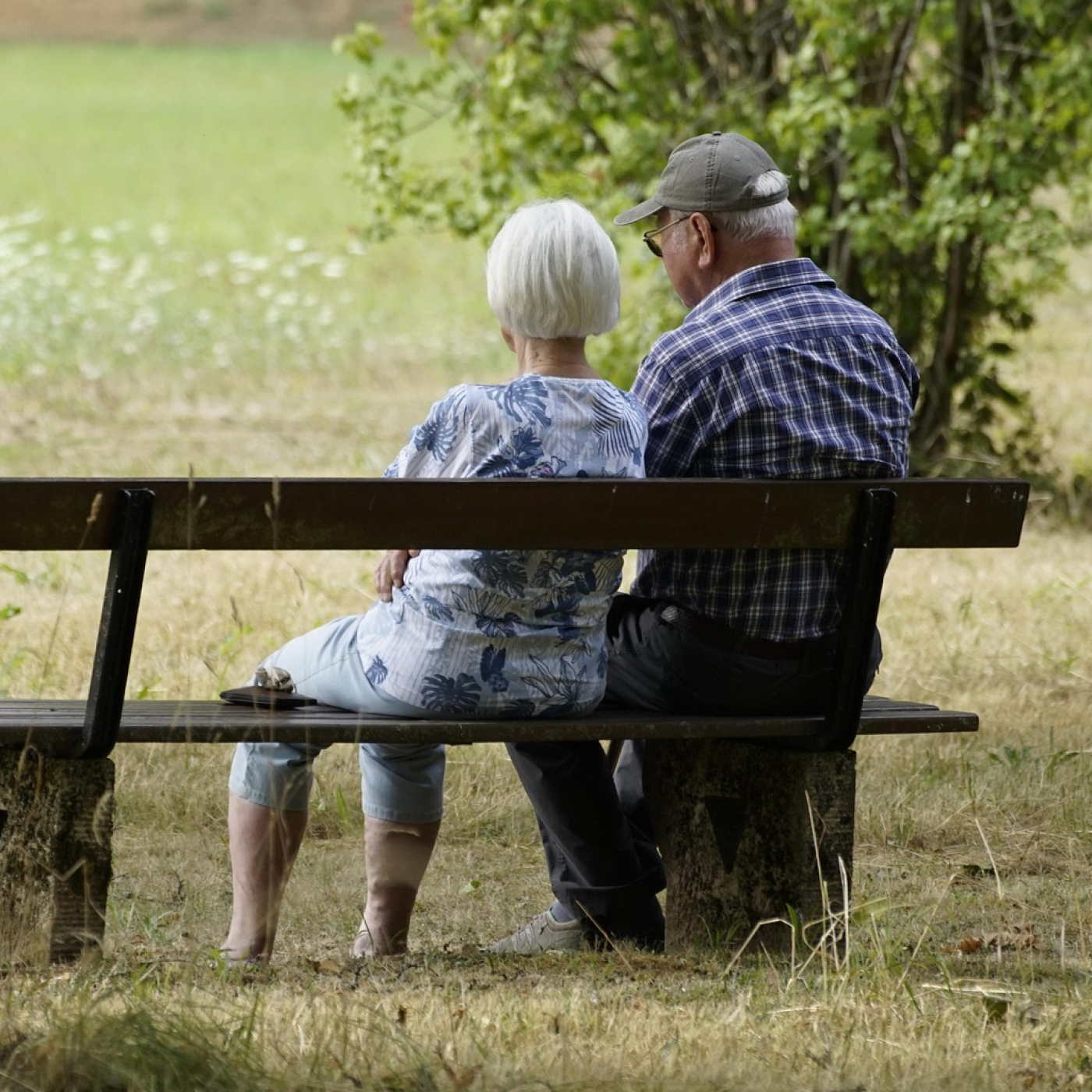 Comprender es querer