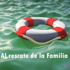 embed image