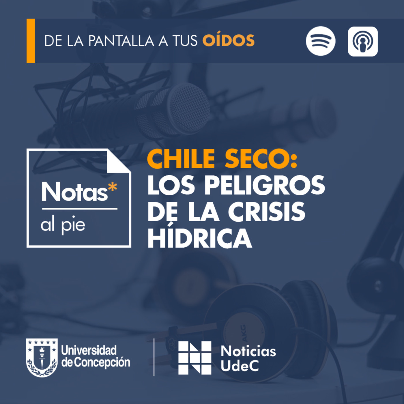 Notas al pie