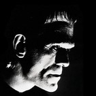 Frankenstein, CAP. 19
