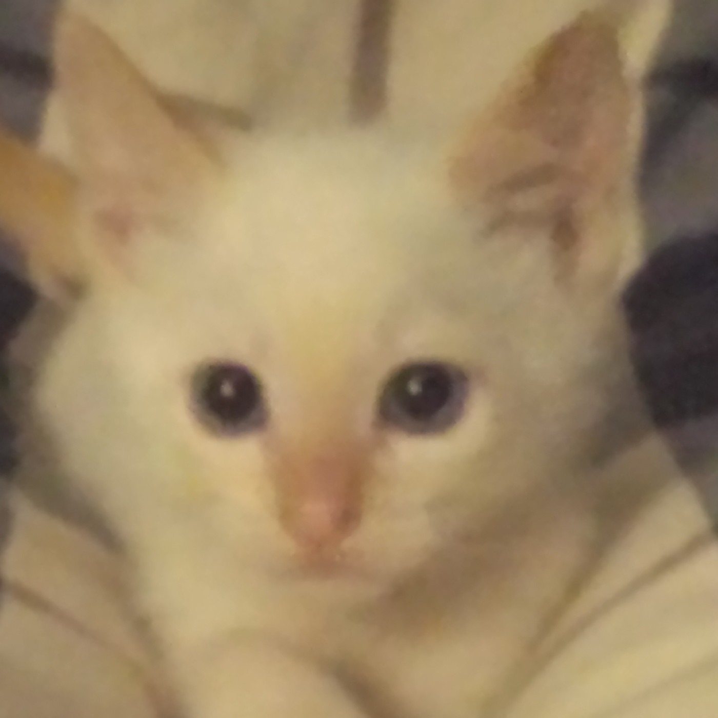 Nuestra Mente es Maravillosa