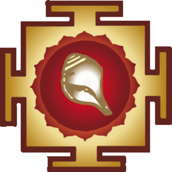 embed image