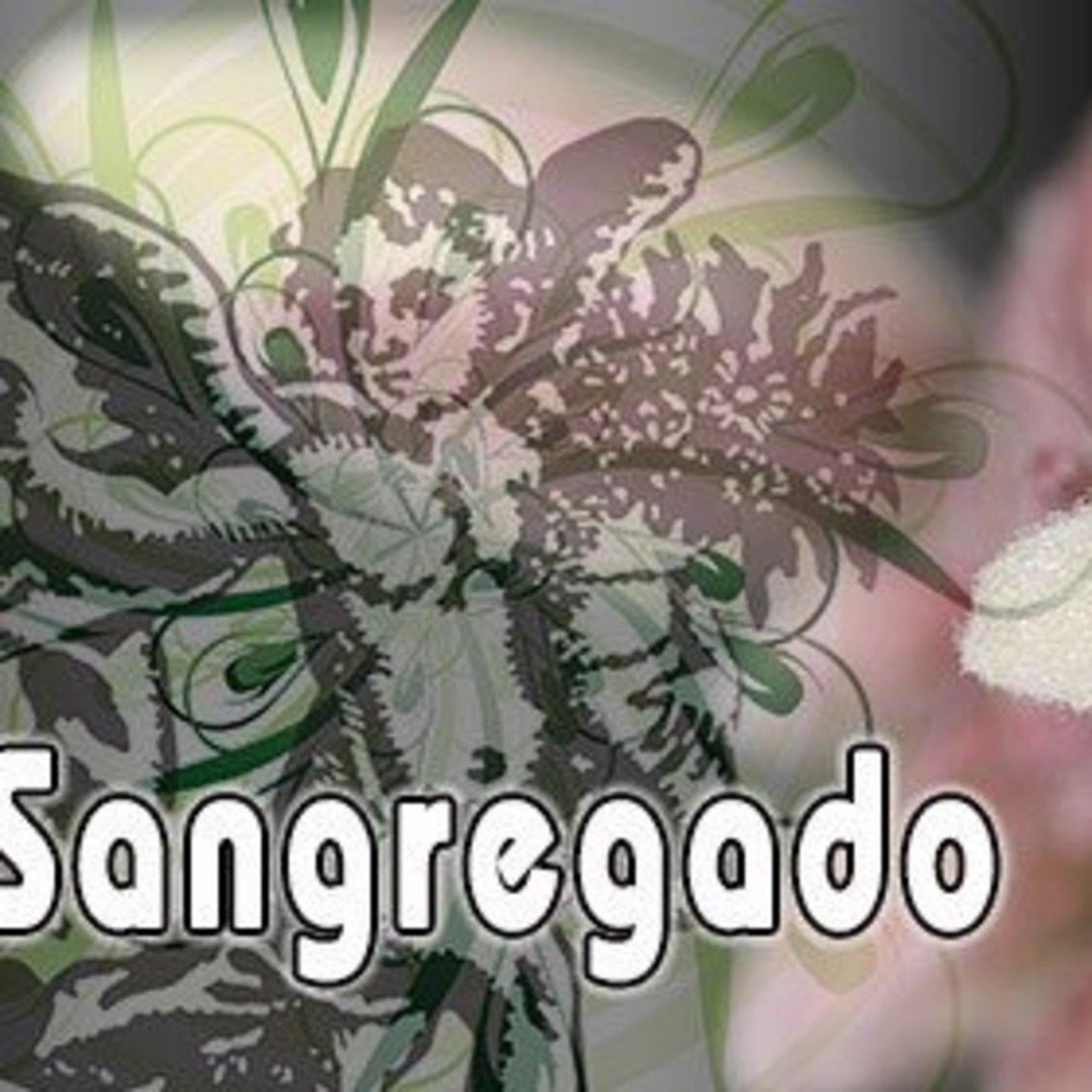 El Ángel de tu Salud - SANGREGADO episode artwork