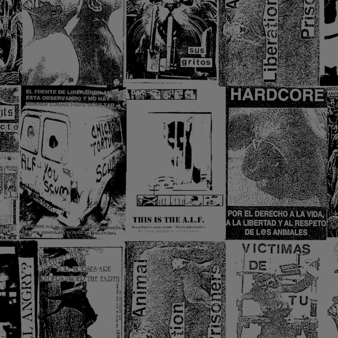 LECTURAS CRITICAS