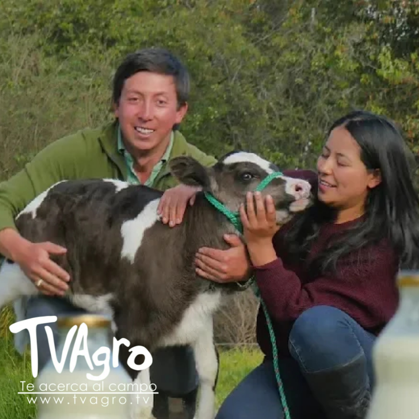 TV AGRO