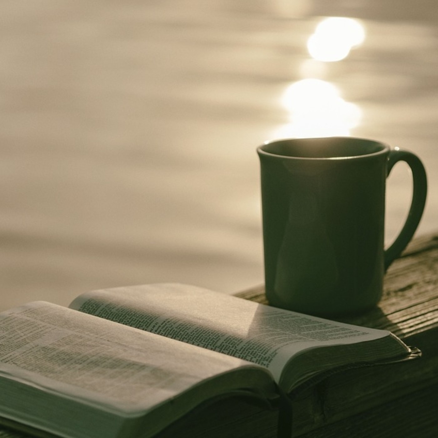 Juan 6:28-52
