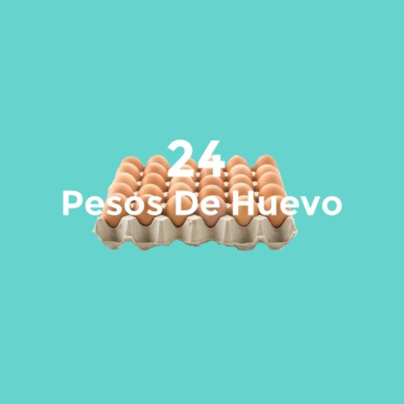 12: Hispanohablantes.