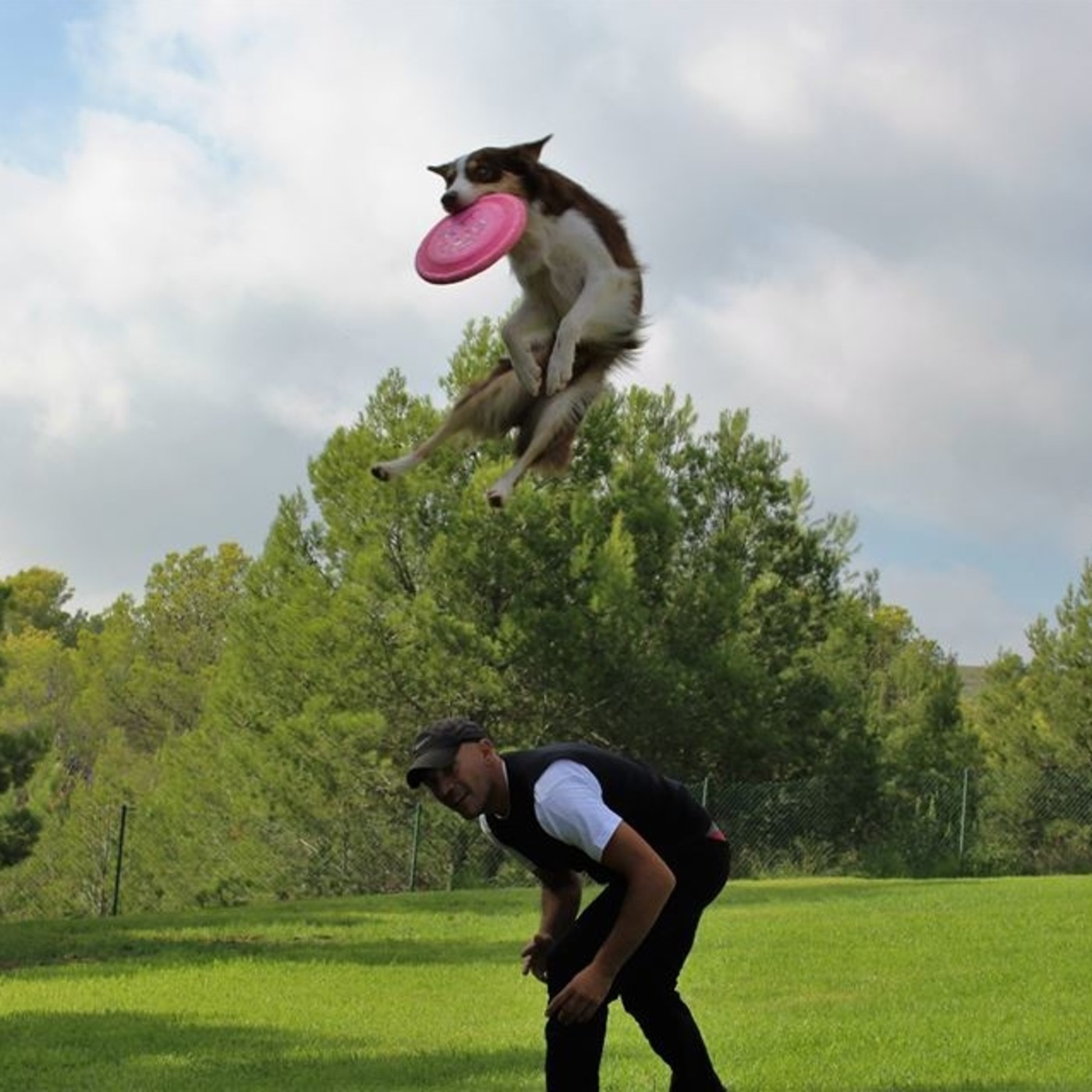 Mediteradio Pata-a-Pata