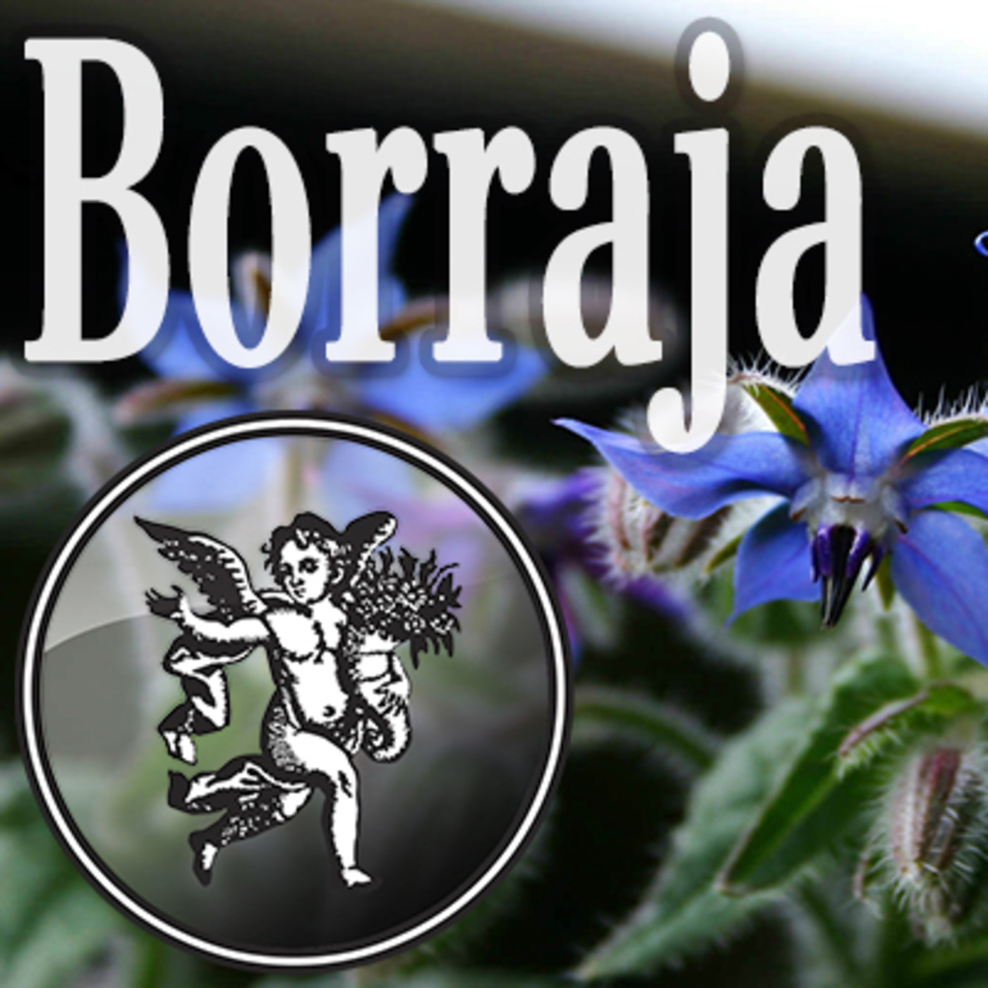 El Angel de tu Salud - BORRAJA episode artwork