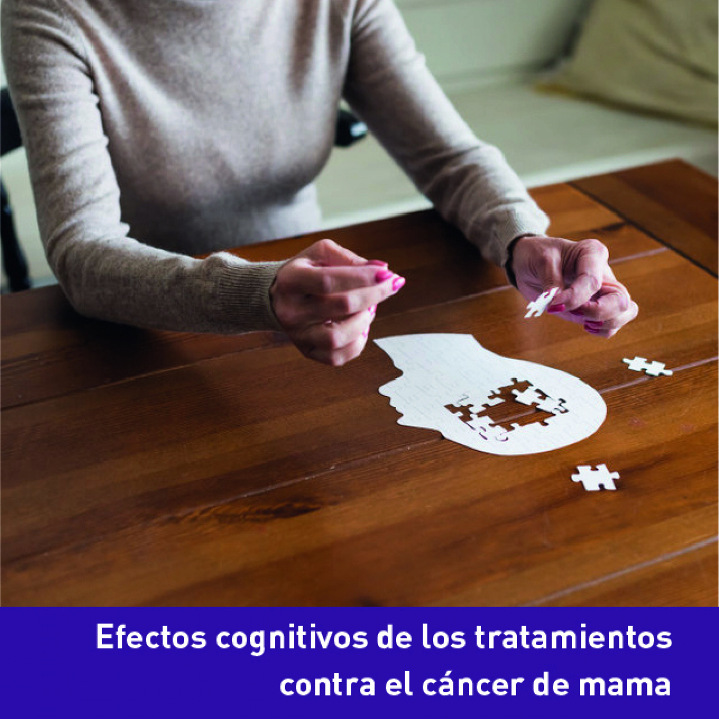 GEICAM T-Habla