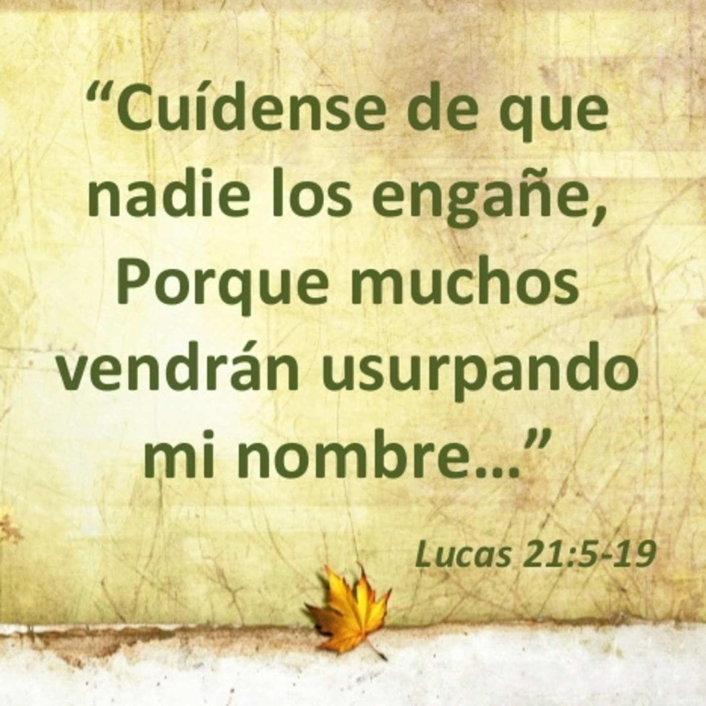 Lecturas del día