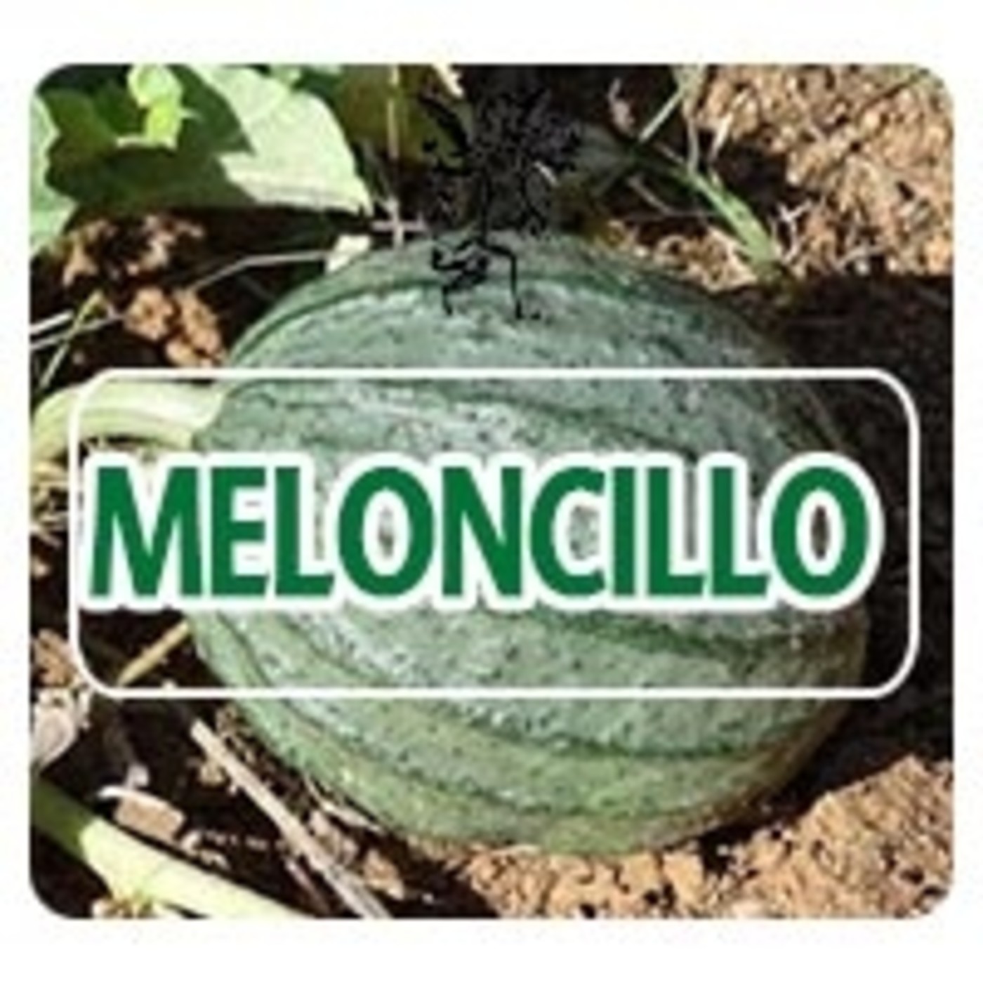 El Angel de tu Salud - MELONCILLO* episode artwork
