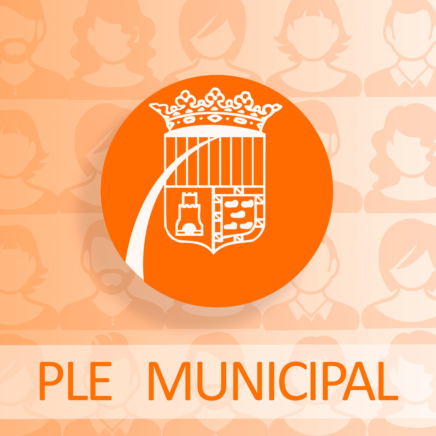 Ple municipal de novembre 2019. Sense talls episode artwork