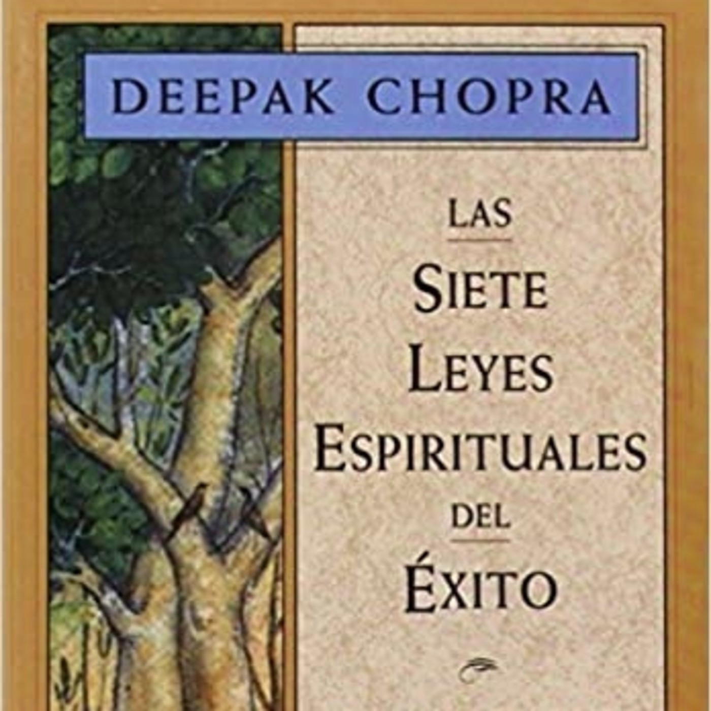 AUDIOLIBROS