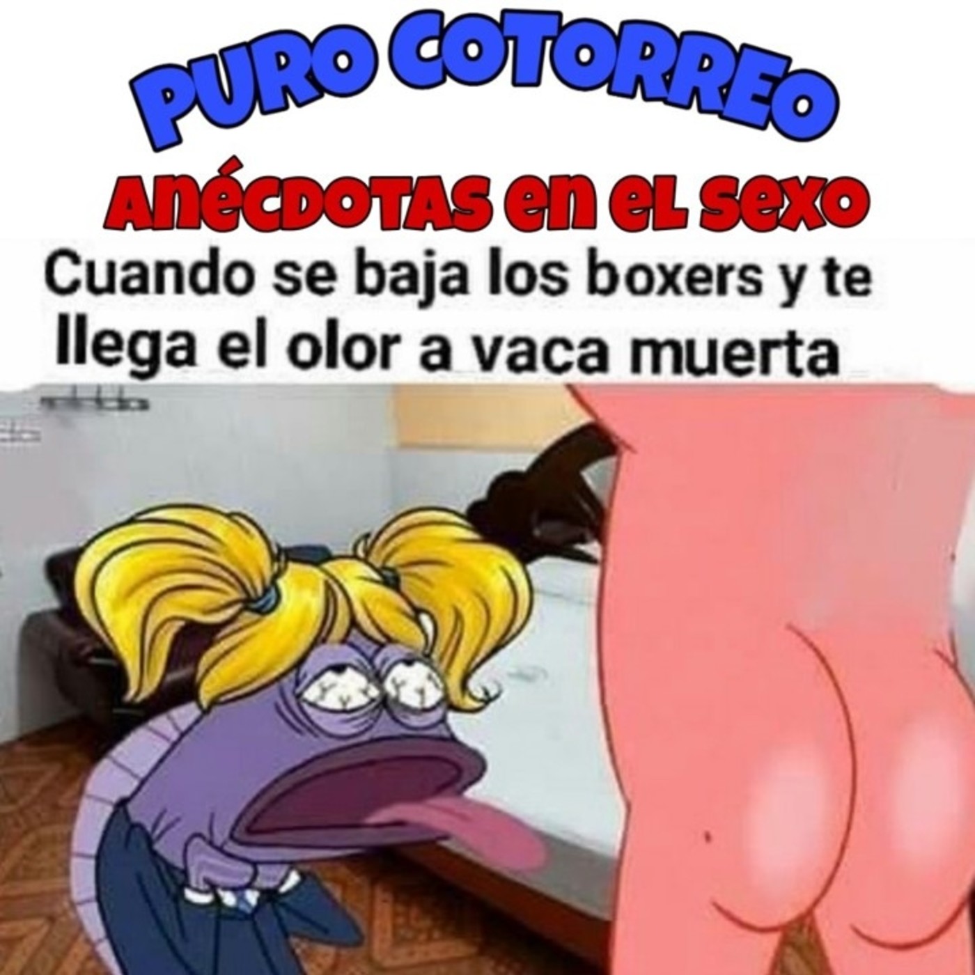 Puro cotorreo