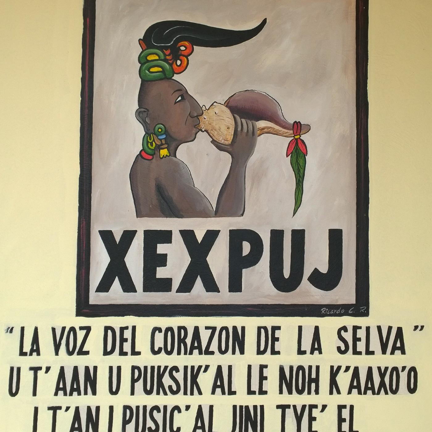 Capsula Saludos a la Radio XEXPUJ episode artwork