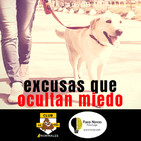 Excusas que ocultan miedo