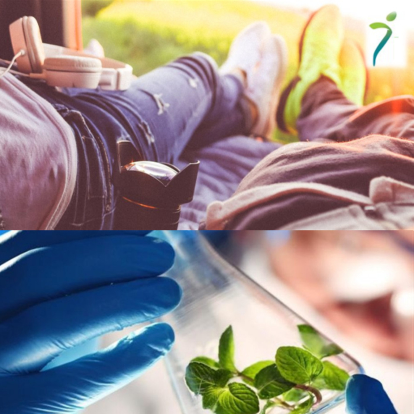 FisioPharma productos nutracéuticos para la salud