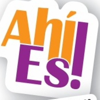 embed image