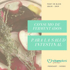 Consumo de fermentados para la salud intestinal