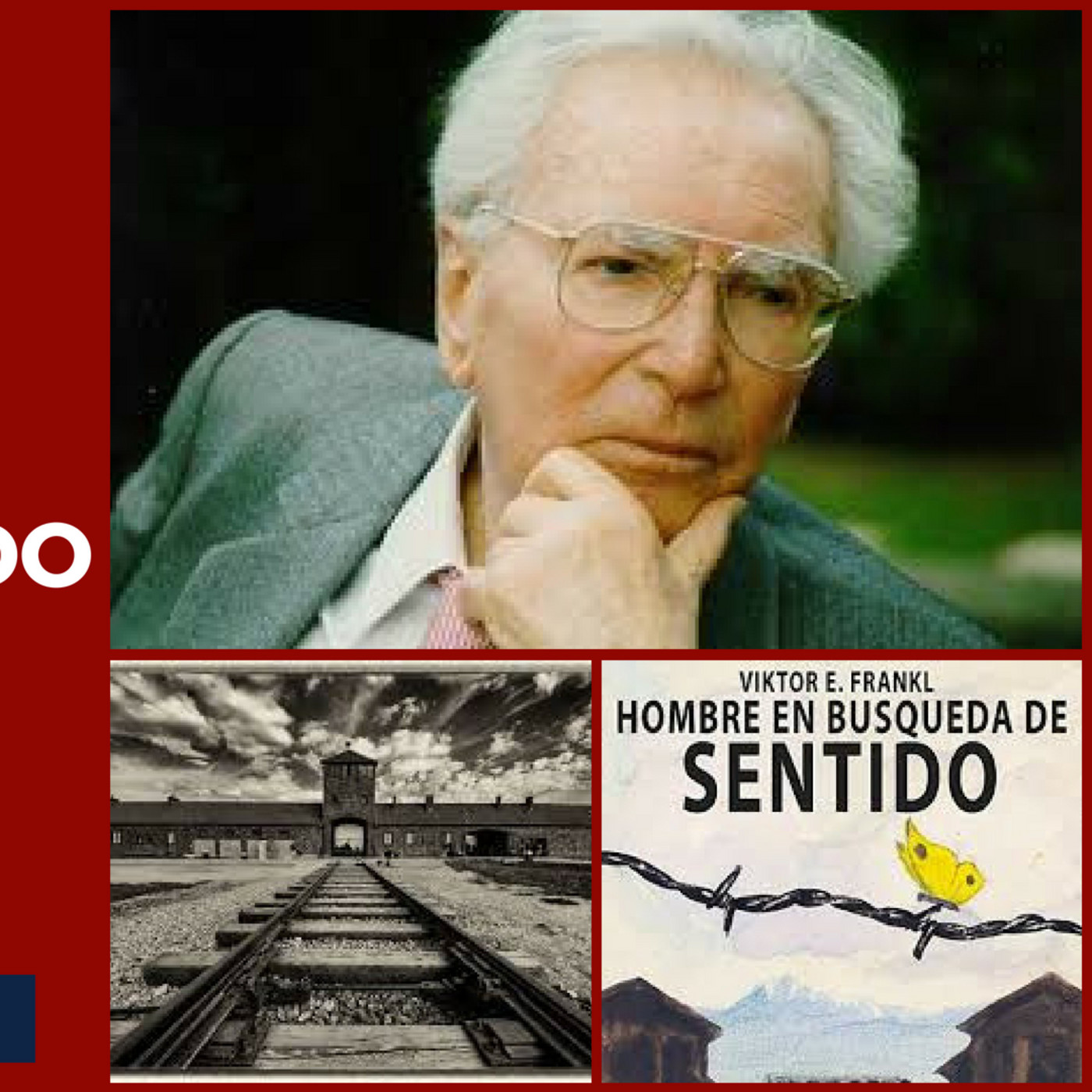 BIORADIO LATIDO