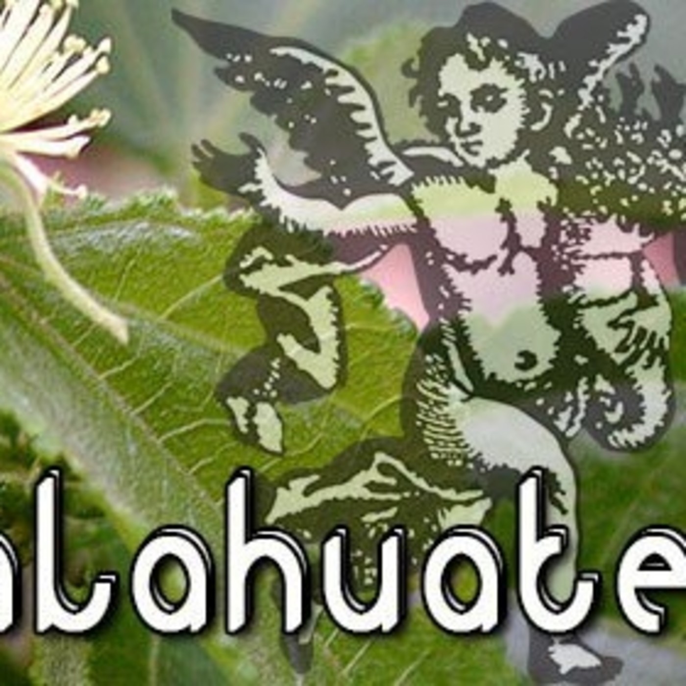 El Angel de tu Salud - CALAHUATE episode artwork