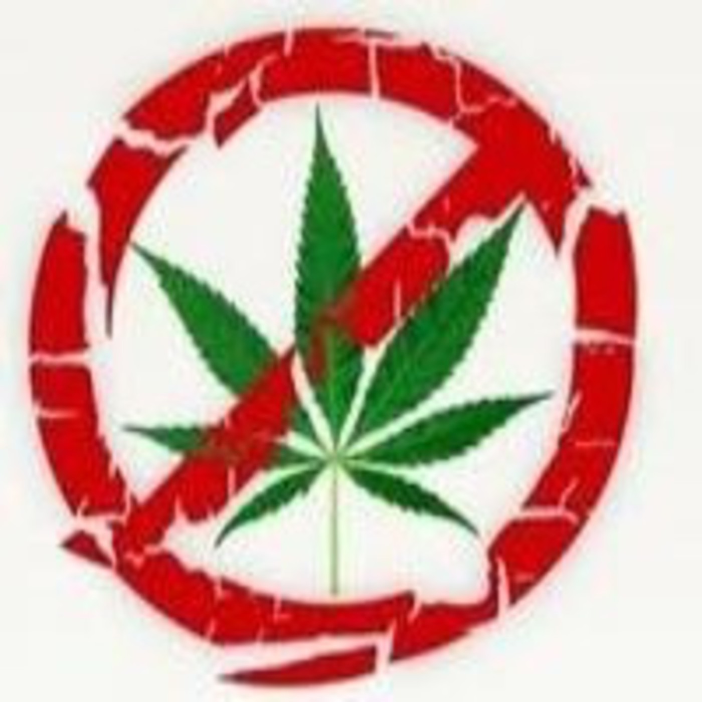 PlantaMadre Cannabis Huerta Hic Et Nunc