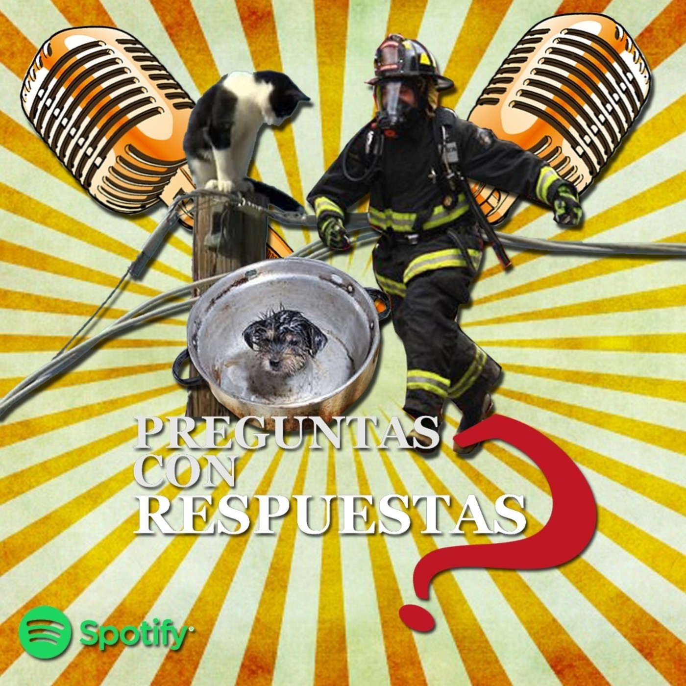 PCR: Preguntas con Respuestas