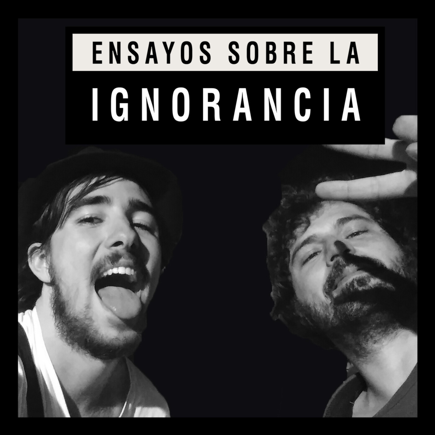 Ensayos sobre la ignorancia
