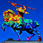 embed image