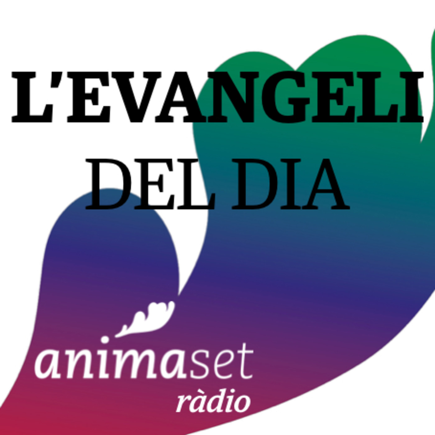 L’Evangeli del dia