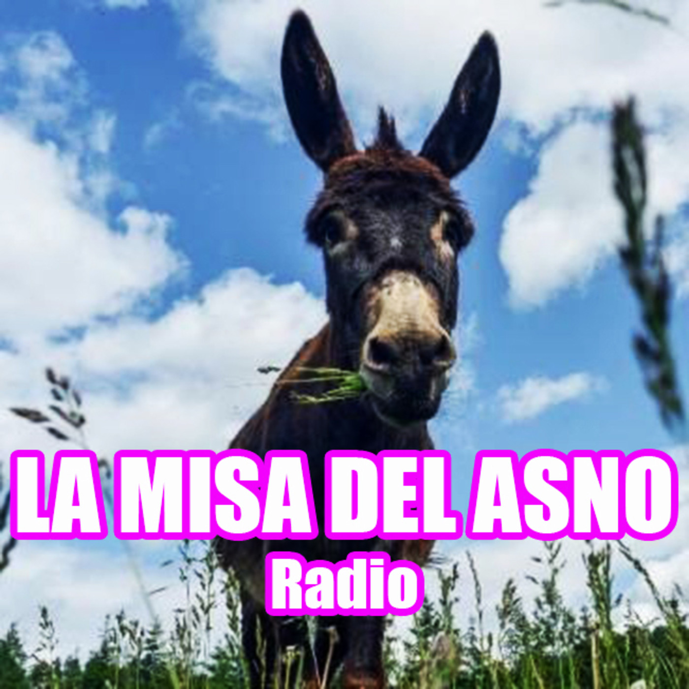 Podcast La Misa Del ASno