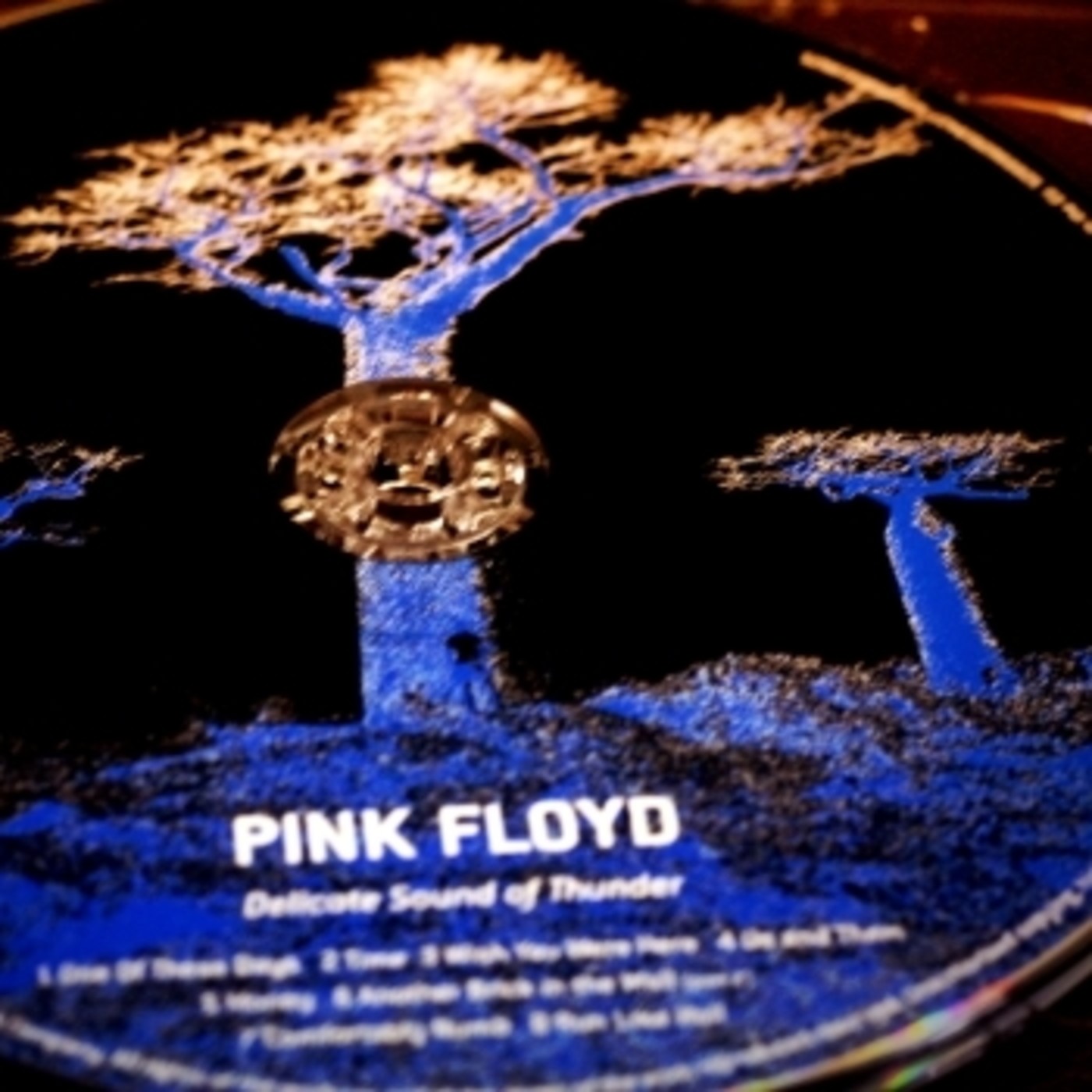 pink floyd cd\'s traks