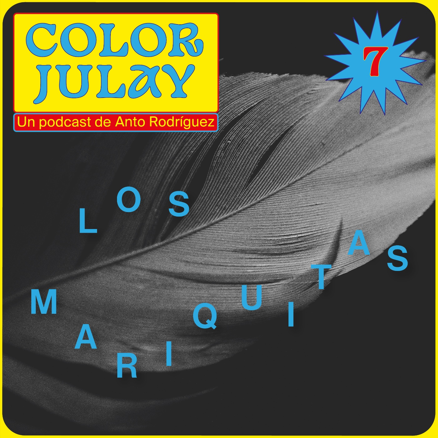 COLOR JULAY