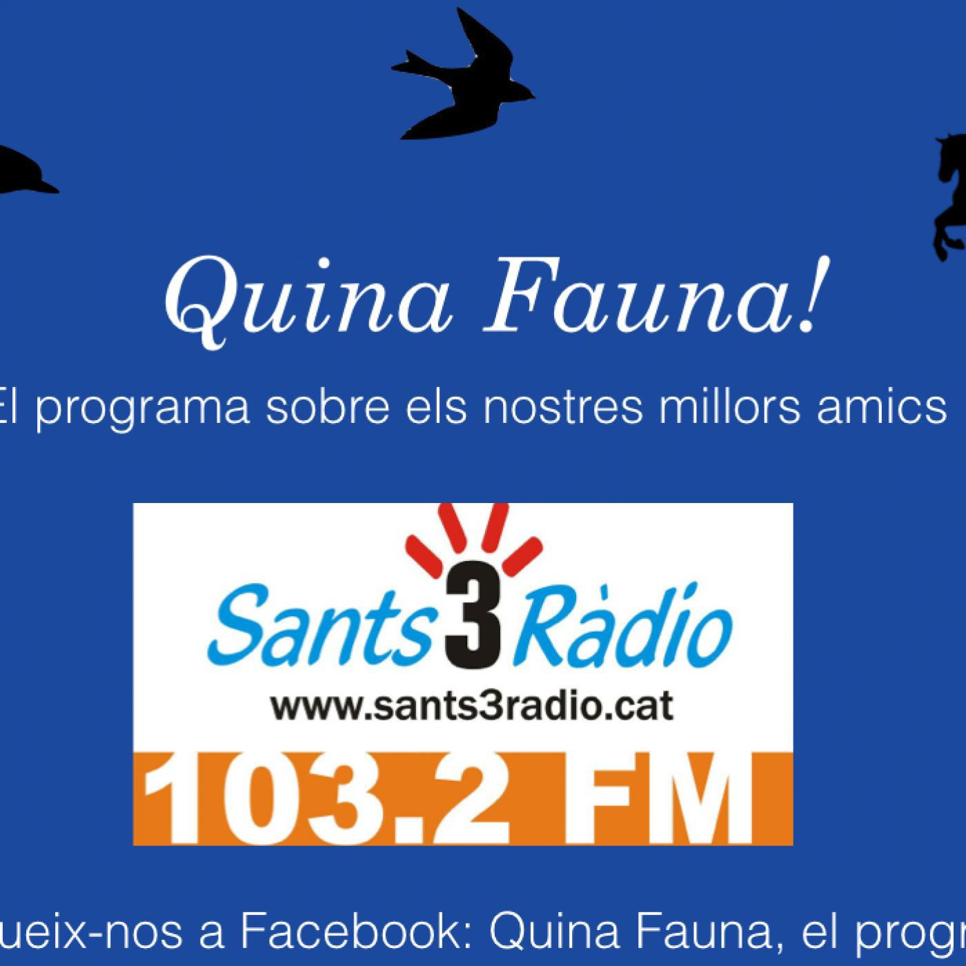 Quina Fauna