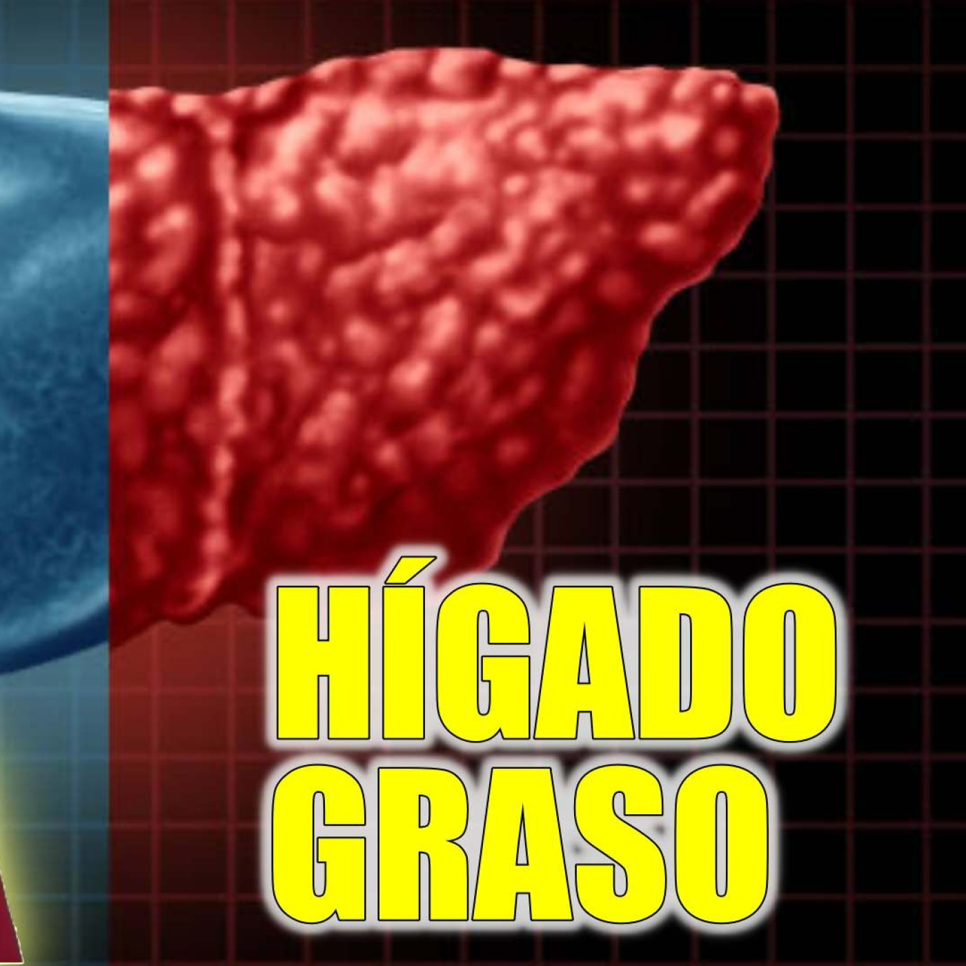 SALUD INTELIGENTE con Sento Segarra