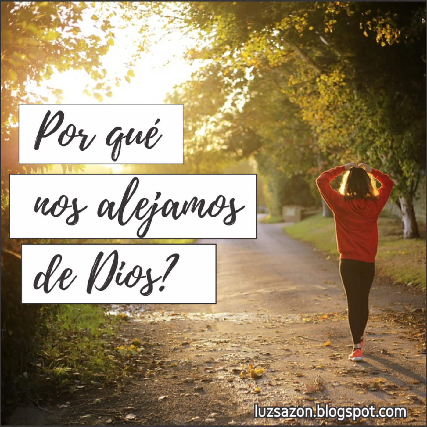 Enseñanzas varias