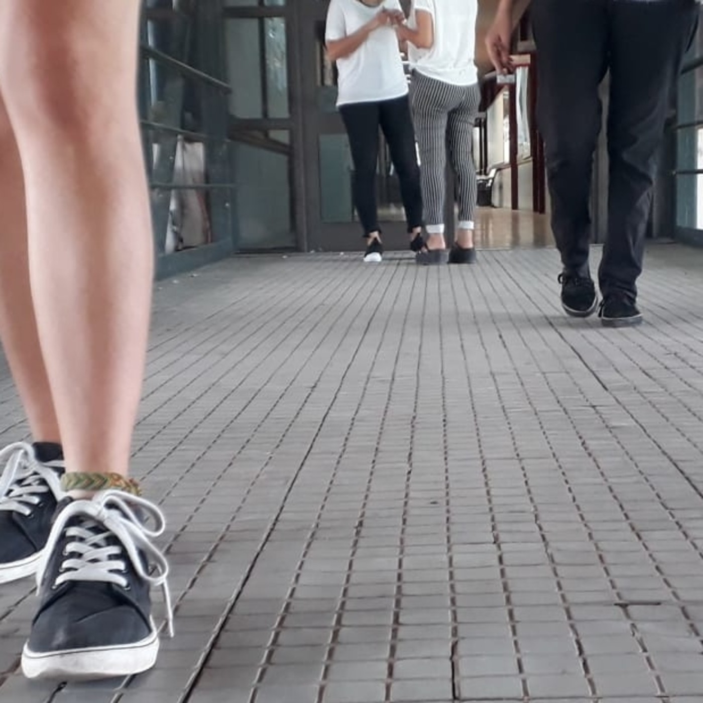 La FcPolit sonando...