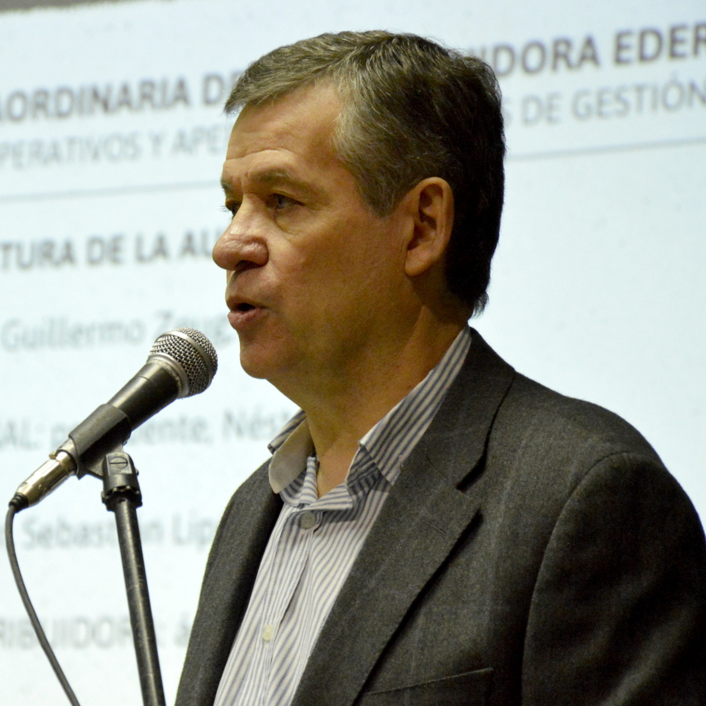 Audiencia Pública Costos Operativos EdERSA
