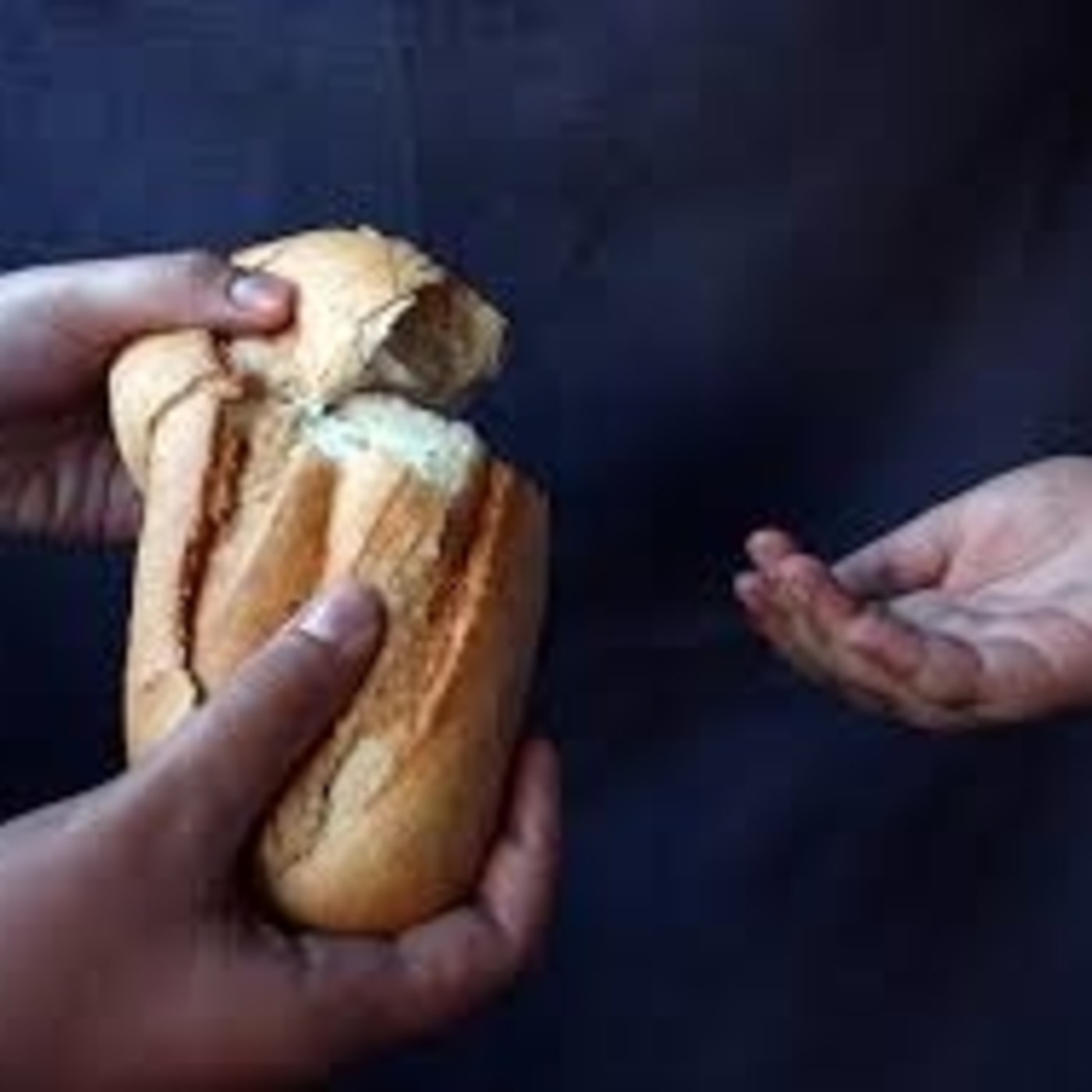 Maravillas de la Creación