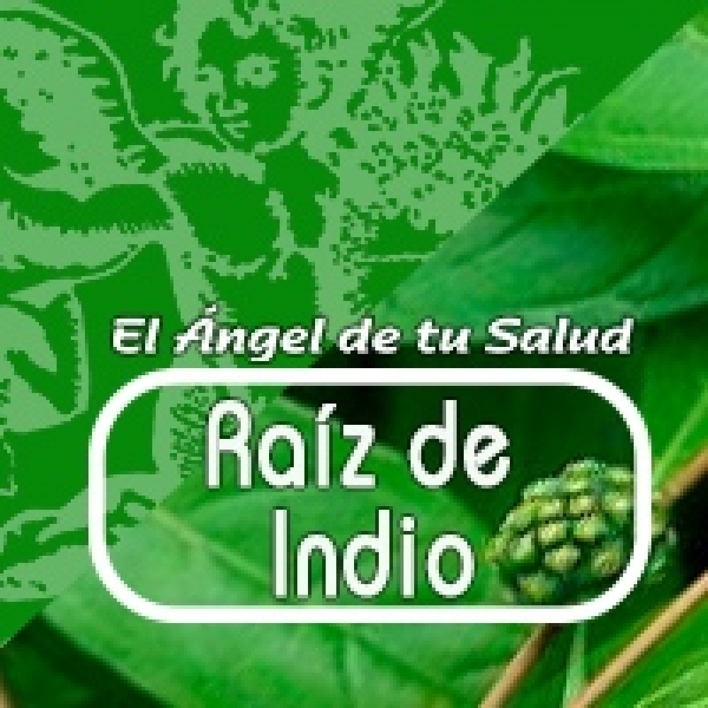 El Angel de tu Salud - RAÍZ DE INDIO***