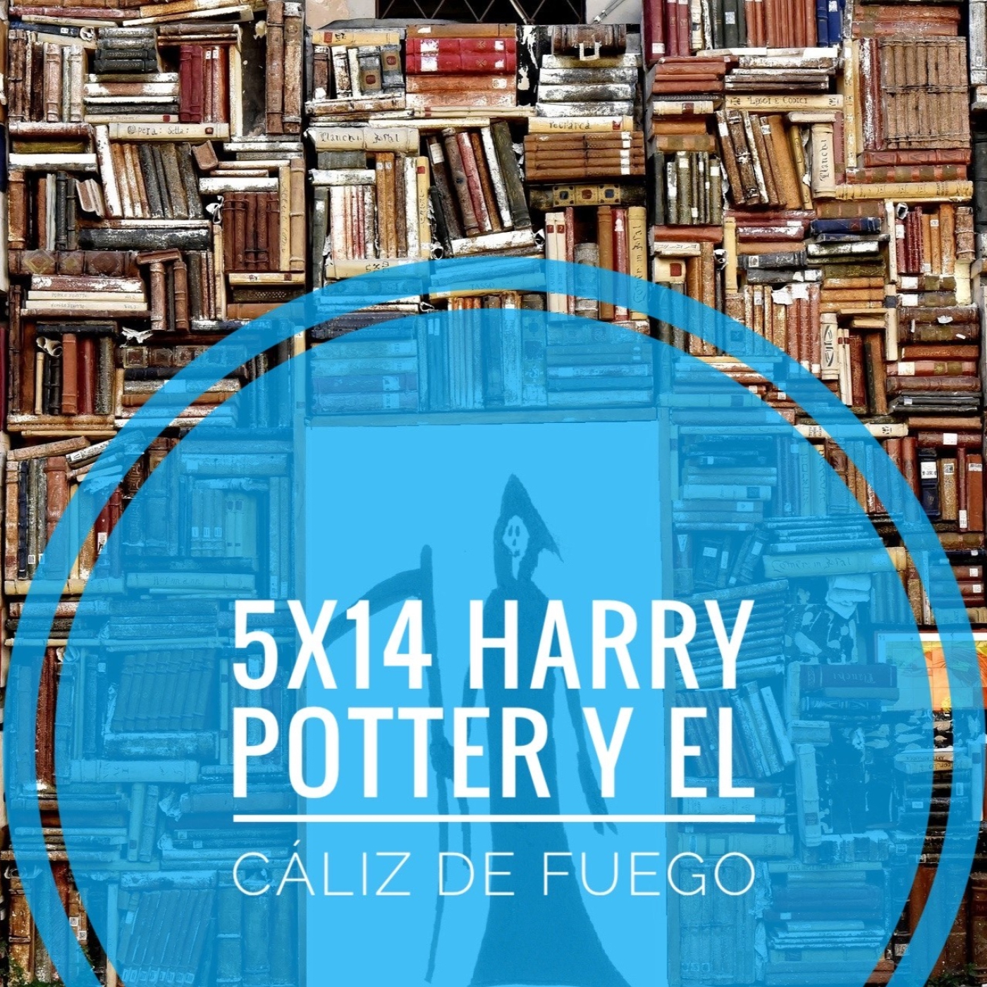 5x14 Harry Potter y el cáliz de fuego episode artwork