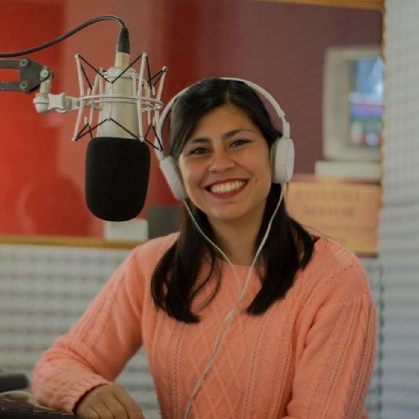Artísticas para radios y programas