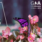 Programa 157 - V Gala Solidaria Abrazos - Cura El Dravet