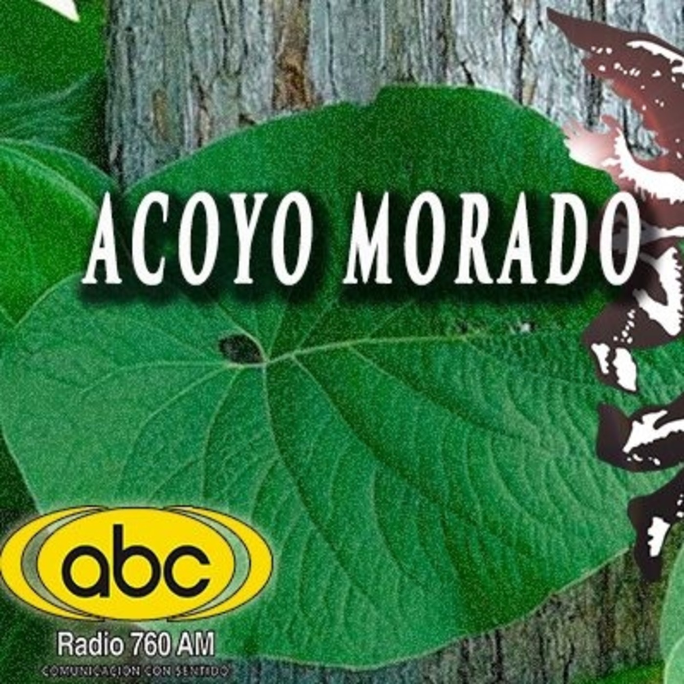 El Ángel de tu Salud - ACOYO MORADO episode artwork