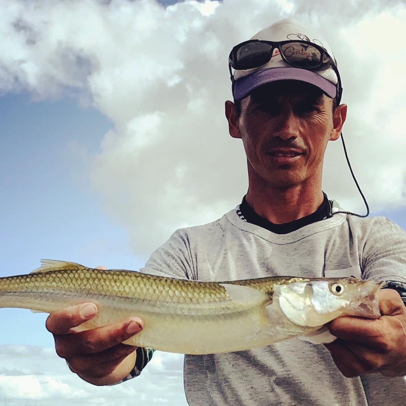 Planeta Pesca
