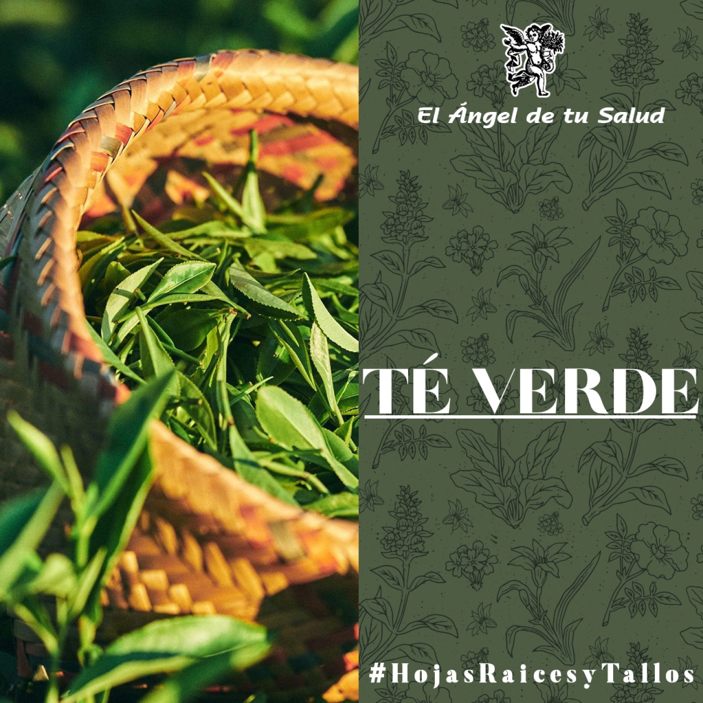El Ángel de tu Salud - Té Verde** episode artwork